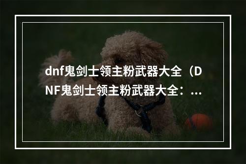 dnf鬼剑士领主粉武器大全（DNF鬼剑士领主粉武器大全：打造最强装备的必修指南）