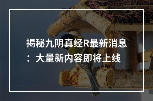 揭秘九阴真经R最新消息：大量新内容即将上线