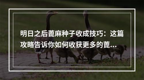 明日之后蓖麻种子收成技巧：这篇攻略告诉你如何收获更多的蓖麻种子