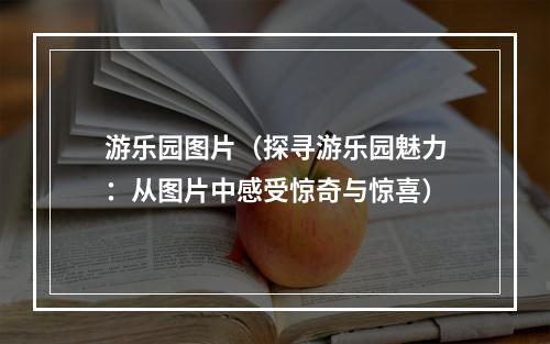 游乐园图片（探寻游乐园魅力：从图片中感受惊奇与惊喜）