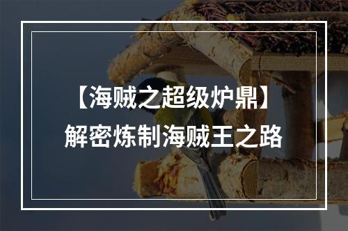 【海贼之超级炉鼎】解密炼制海贼王之路