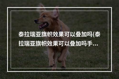 泰拉瑞亚旗帜效果可以叠加吗(泰拉瑞亚旗帜效果可以叠加吗手机版)