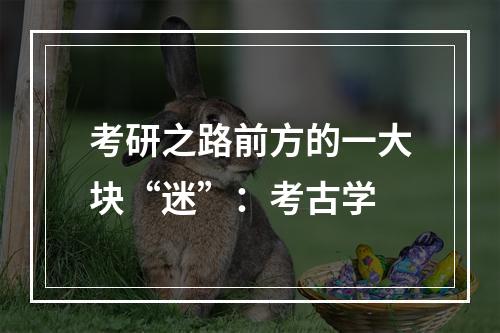 考研之路前方的一大块“迷”：考古学