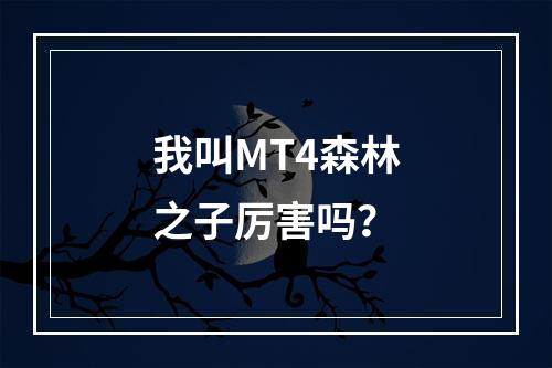 我叫MT4森林之子厉害吗？