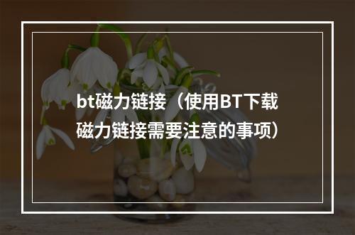 bt磁力链接（使用BT下载磁力链接需要注意的事项）