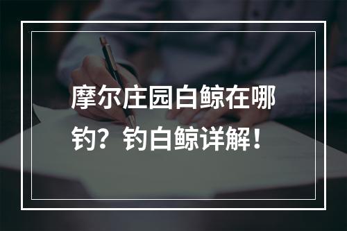 摩尔庄园白鲸在哪钓？钓白鲸详解！