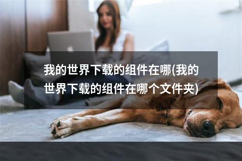 我的世界下载的组件在哪(我的世界下载的组件在哪个文件夹)