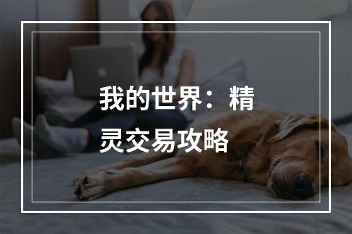 我的世界：精灵交易攻略