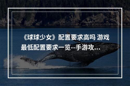 《球球少女》配置要求高吗 游戏最低配置要求一览--手游攻略网