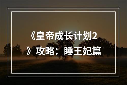 《皇帝成长计划2》攻略：睡王妃篇