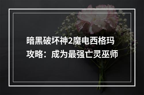 暗黑破坏神2魔电西格玛攻略：成为最强亡灵巫师