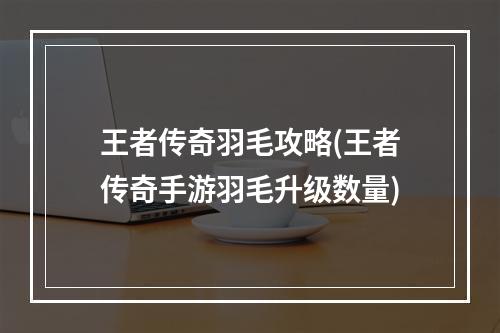 王者传奇羽毛攻略(王者传奇手游羽毛升级数量)