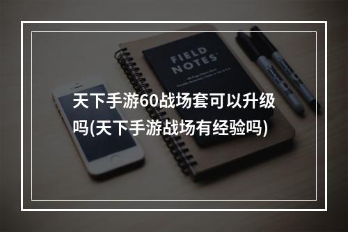 天下手游60战场套可以升级吗(天下手游战场有经验吗)