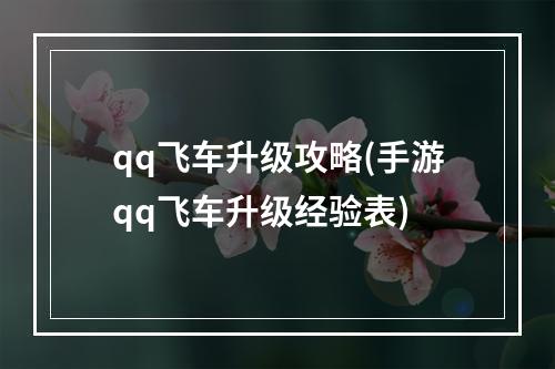 qq飞车升级攻略(手游qq飞车升级经验表)