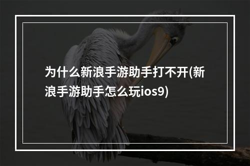 为什么新浪手游助手打不开(新浪手游助手怎么玩ios9)