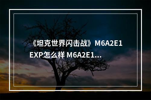 《坦克世界闪击战》M6A2E1EXP怎么样 M6A2E1EXP坦克图鉴--手游攻略网