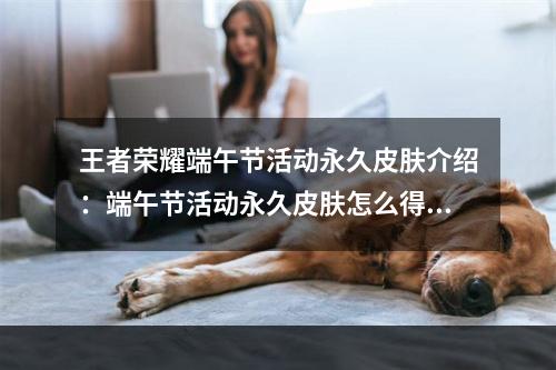 王者荣耀端午节活动永久皮肤介绍：端午节活动永久皮肤怎么得？[多图]--安卓攻略网