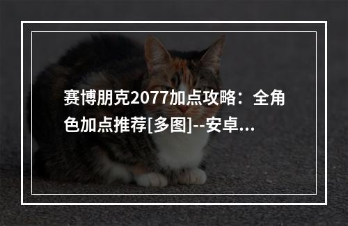 赛博朋克2077加点攻略：全角色加点推荐[多图]--安卓攻略网