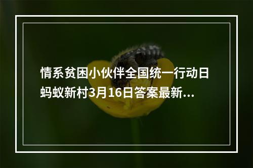 情系贫困小伙伴全国统一行动日 蚂蚁新村3月16日答案最新--手游攻略网