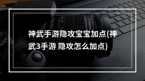 神武手游隐攻宝宝加点(神武3手游 隐攻怎么加点)