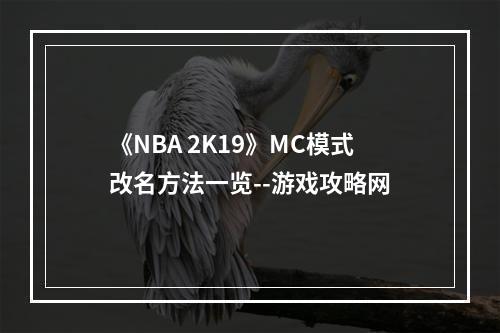 《NBA 2K19》MC模式改名方法一览--游戏攻略网