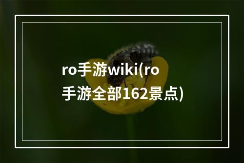 ro手游wiki(ro手游全部162景点)