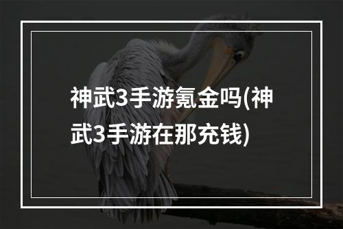 神武3手游氪金吗(神武3手游在那充钱)