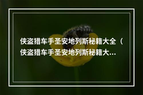 侠盗猎车手圣安地列斯秘籍大全（侠盗猎车手圣安地列斯秘籍大全(完整版)）