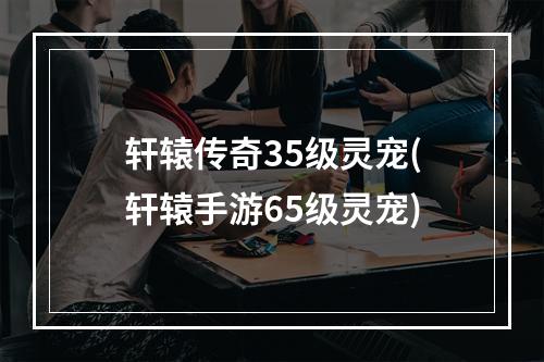 轩辕传奇35级灵宠(轩辕手游65级灵宠)