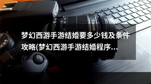 梦幻西游手游结婚要多少钱及条件攻略(梦幻西游手游结婚程序)