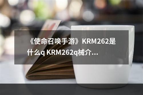 《使命召唤手游》KRM262是什么q KRM262q械介绍--游戏攻略网