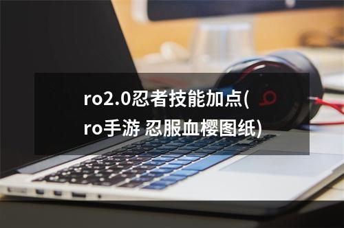 ro2.0忍者技能加点(ro手游 忍服血樱图纸)