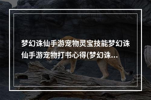 梦幻诛仙手游宠物灵宝技能梦幻诛仙手游宠物打书心得(梦幻诛仙手游全耐宝宝)