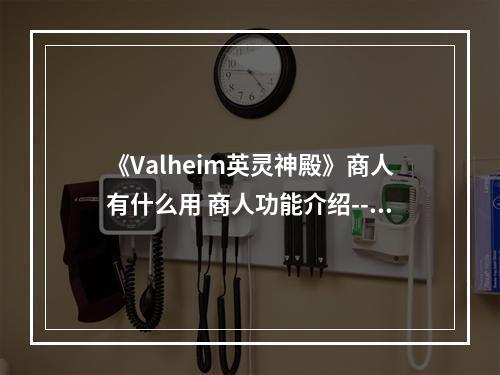 《Valheim英灵神殿》商人有什么用 商人功能介绍--游戏攻略网