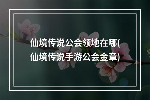 仙境传说公会领地在哪(仙境传说手游公会金章)