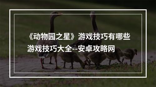 《动物园之星》游戏技巧有哪些 游戏技巧大全--安卓攻略网