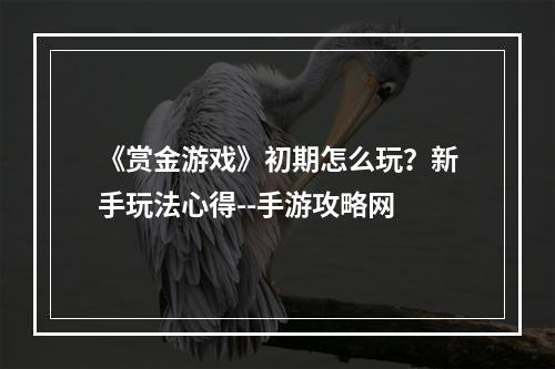 《赏金游戏》初期怎么玩？新手玩法心得--手游攻略网