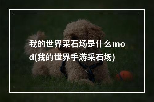 我的世界采石场是什么mod(我的世界手游采石场)