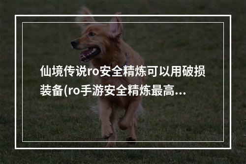 仙境传说ro安全精炼可以用破损装备(ro手游安全精炼最高)