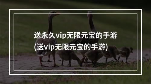 送永久vip无限元宝的手游(送vip无限元宝的手游)