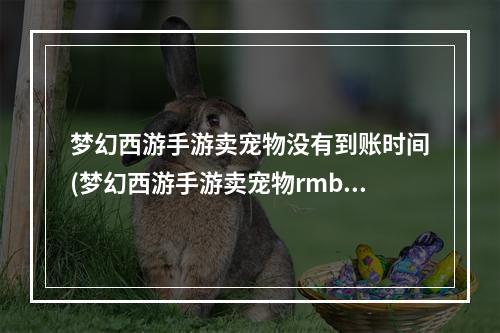 梦幻西游手游卖宠物没有到账时间(梦幻西游手游卖宠物rmb)