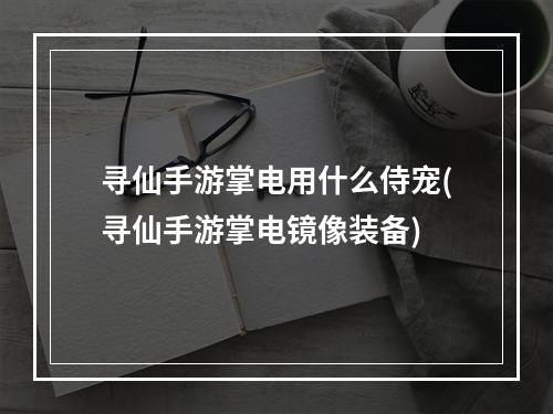 寻仙手游掌电用什么侍宠(寻仙手游掌电镜像装备)