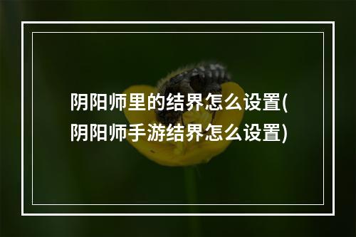 阴阳师里的结界怎么设置(阴阳师手游结界怎么设置)