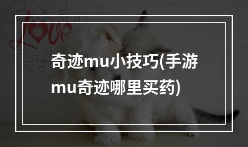 奇迹mu小技巧(手游mu奇迹哪里买药)