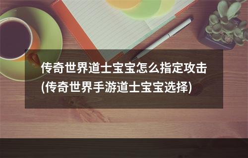 传奇世界道士宝宝怎么指定攻击(传奇世界手游道士宝宝选择)