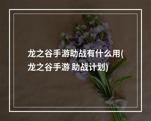 龙之谷手游助战有什么用(龙之谷手游 助战计划)