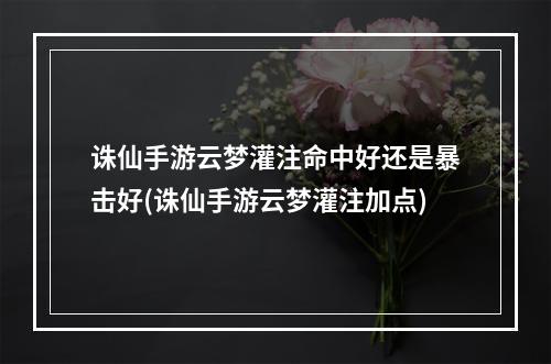 诛仙手游云梦灌注命中好还是暴击好(诛仙手游云梦灌注加点)