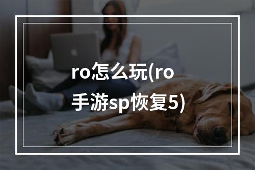 ro怎么玩(ro手游sp恢复5)