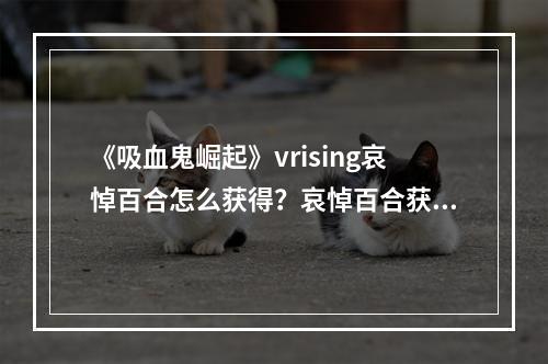 《吸血鬼崛起》vrising哀悼百合怎么获得？哀悼百合获取方法--游戏攻略网