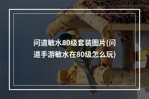 问道敏水80级套装图片(问道手游敏水在80级怎么玩)